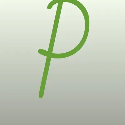 PLATiKA, терминал, лого-визитка